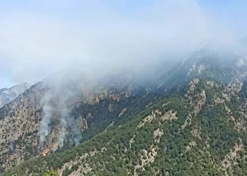 Osmaniye’de yangın söndürme çalışmaları sürüyor