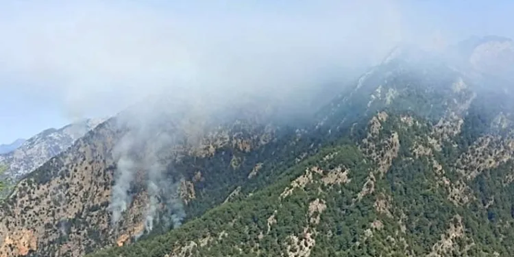 Osmaniye’de yangın söndürme çalışmaları sürüyor