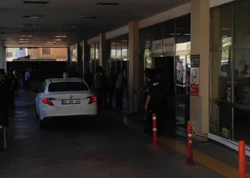 Şanlıurfa’da minibüsün çarptığı kadın öldü