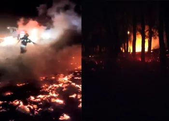 Spil Milli Parkı’nda korkutan yangın
