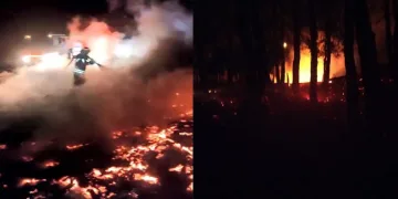 Spil Milli Parkı’nda korkutan yangın