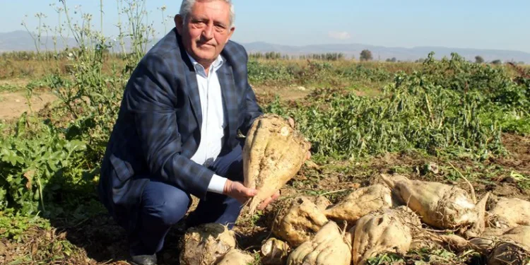 Bursa’da toprağa uygun pancar ekildi