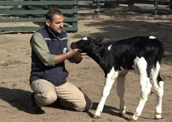 Bursa’da ismini hayvanseverler koydu