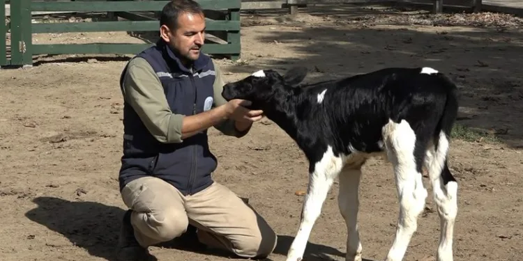 Bursa’da ismini hayvanseverler koydu