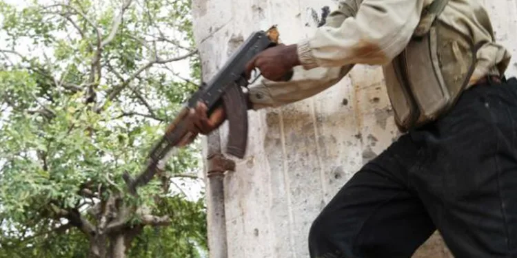 Somali’de Eş-Şebab elebaşlarından biri öldürüldü
