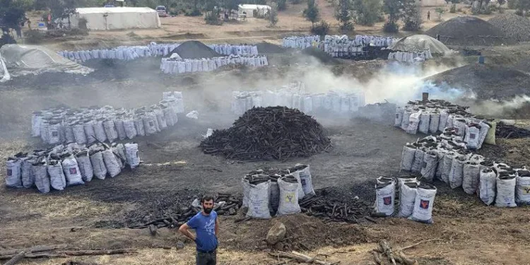 Yozgat’ta mevsimlik işçilerin mangal kömürü mesaisi