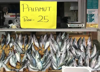 Karadeniz’de palamudun fiyatı düştü