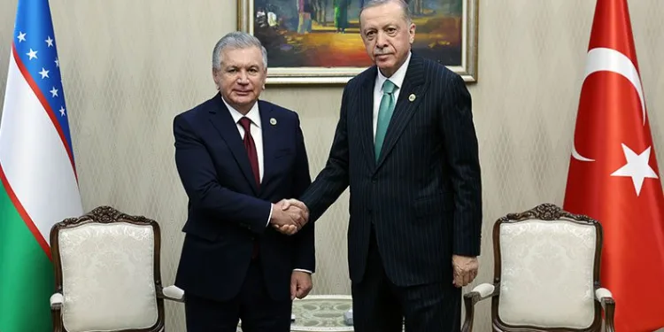 Cumhurbaşkanı Erdoğan, Özbekistanlı mevkidaşı Mirziyoyev ile görüştü
