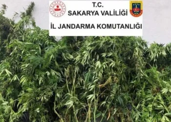 Sakarya’da uyuşturucu operasyonu