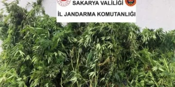 Sakarya’da uyuşturucu operasyonu