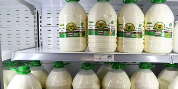 Başkent’te pastörize süt satışı başladı
