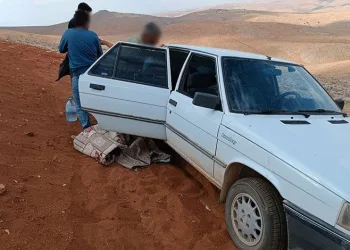 Kahramanmaraş’ta tuzakla şahin avına 25 bin lira ceza