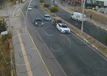 Tunceli’de yola çıkan köpek zincirleme kazaya neden oldu