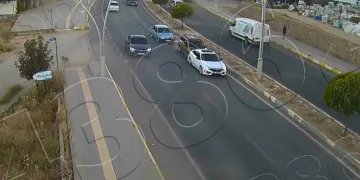 Tunceli’de yola çıkan köpek zincirleme kazaya neden oldu