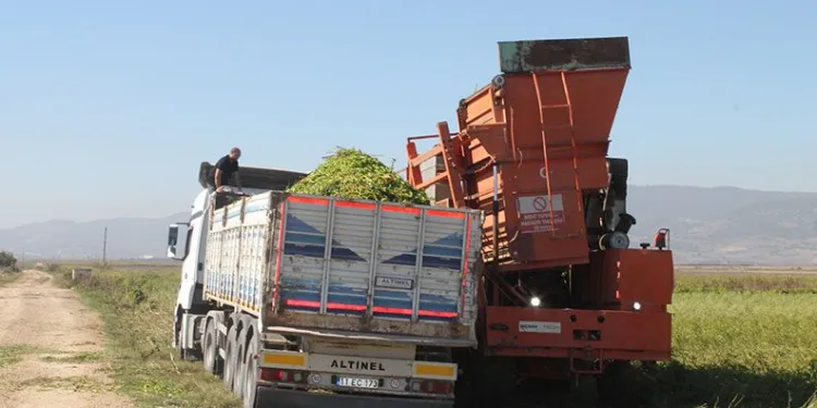 Türkiye’de ilk kez Bursa’da denendi, maliyetler düştü