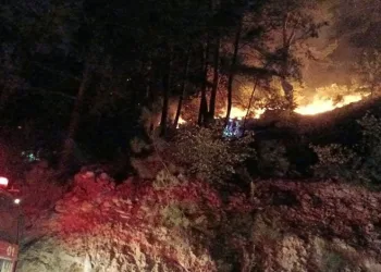 Osmaniye’deki orman yangını kontrol altında