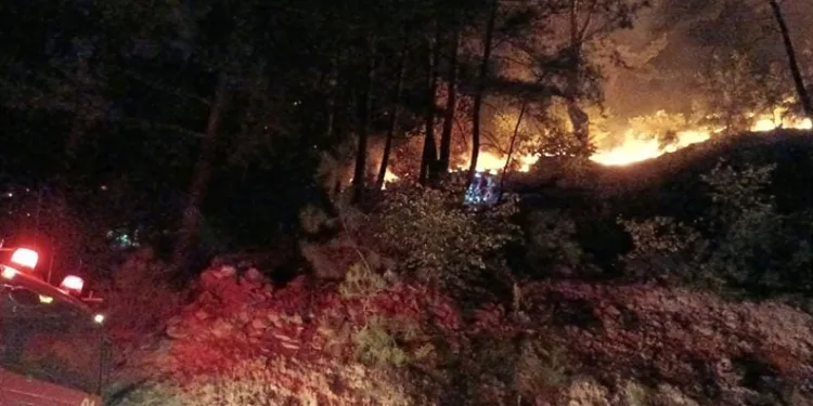 Osmaniye’deki orman yangını kontrol altında
