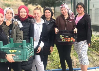 Çorum’da öğrenciler turşu yapımını geleneksel hale getirdi