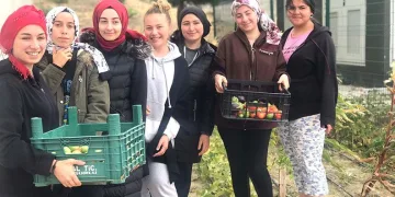 Çorum’da öğrenciler turşu yapımını geleneksel hale getirdi