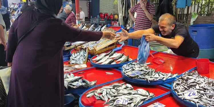 Bursa’da sardalyanın fiyatı düştü