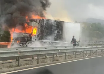 Tavuk yüklü tır alev alev yandı