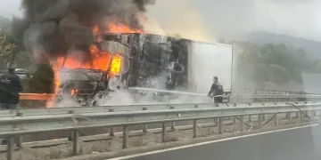 Tavuk yüklü tır alev alev yandı