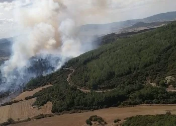 Çanakkale Gelibolu’daki orman yangını kontrol altında