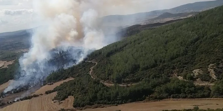 Çanakkale Gelibolu’daki orman yangını kontrol altında