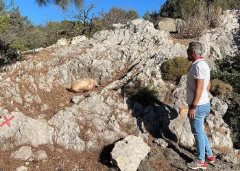 Kanlı paket ekipleri harekete geçirdi