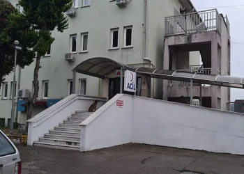 Zonguldak’ta mantar can aldı