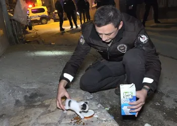 Hırsız sandılar kedi çıktı