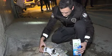 Hırsız sandılar kedi çıktı