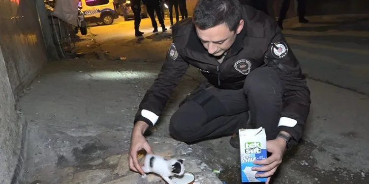 Hırsız sandılar kedi çıktı