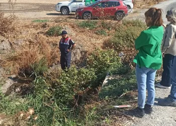 İzmir’de çevreyi kirlettiği belirlenen firmaya ceza