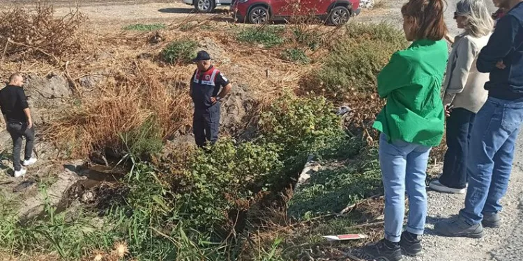 İzmir’de çevreyi kirlettiği belirlenen firmaya ceza