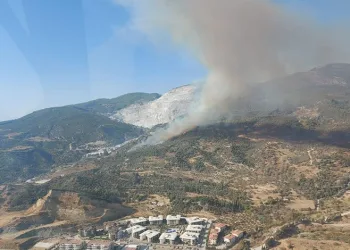 Aydın’da makilik ve zirai alanda yangın