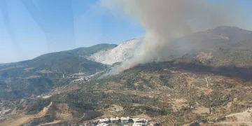 Aydın’da makilik ve zirai alanda yangın