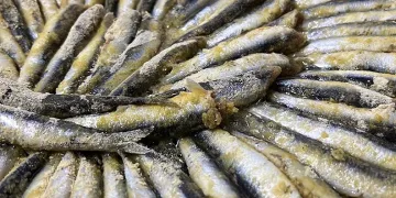 Balık severler dikkat, pişirmede püf nokta