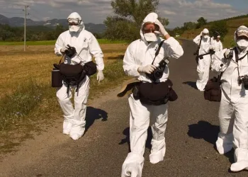 Bulgaristan’da kuş gribi alarmı