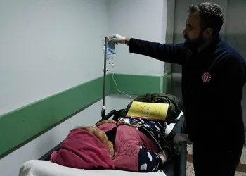 Samsun’da topladıkları mantarları yiyen kadınlar zehirlendi
