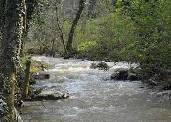 Nilüfer Çayı için yol haritası hazırlanıyor