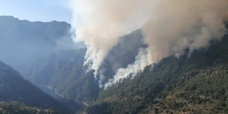Osmaniye 3 gündür yanıyor! Karadan müdahale başladı