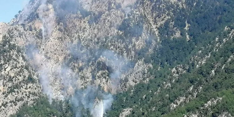 Osmaniye Düziçi’nde orman yangını