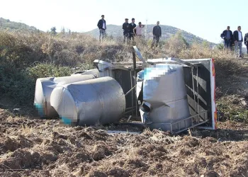 Manisa’da süt kamyoneti tarlaya uçtu: 1 yaralı
