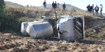 Manisa’da süt kamyoneti tarlaya uçtu: 1 yaralı