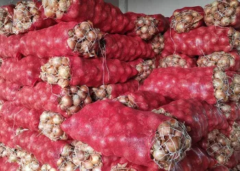 Halde patates ve soğan bolluğu