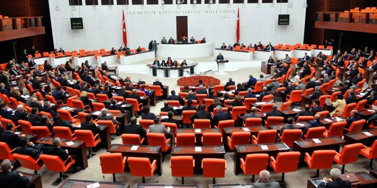 Mali ve Orta Afrika tezkeresi kabul edildi