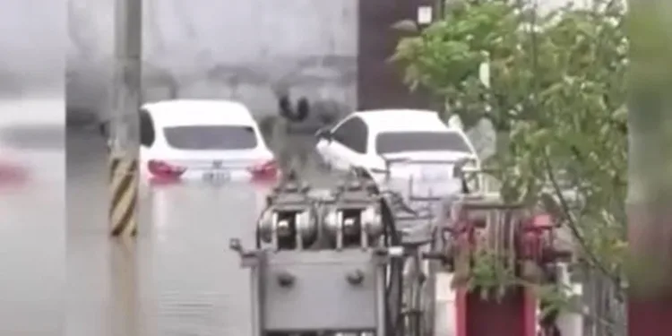 Tayvan’ı Nesat Tayfunu vurdu