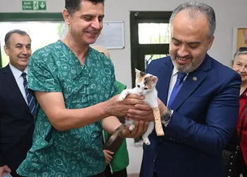 Şırnak’ta 4 günde 5 terörist öldürüldü
