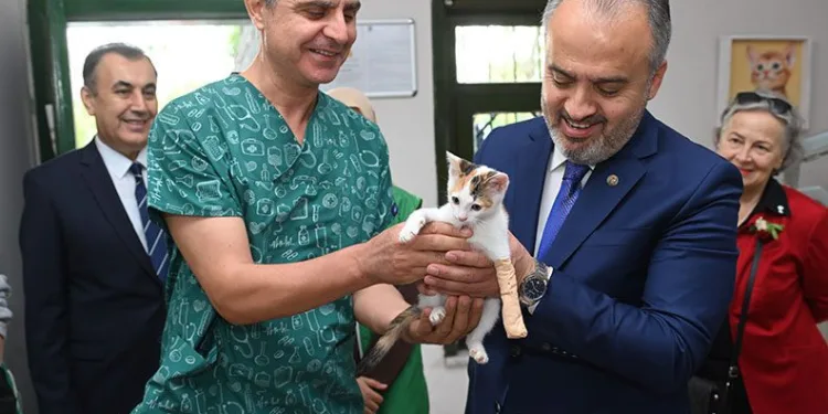 Şırnak’ta 4 günde 5 terörist öldürüldü